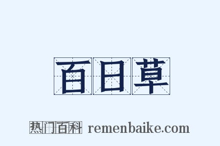 百日草是什么意思的图片
